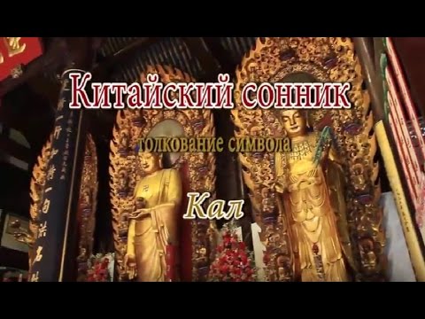 К Чему Снится Кал Женщине: Толкование и Значение