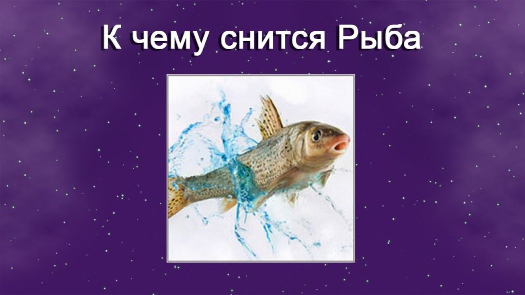 К Чему Снится Рыба: значение сна и толкования
