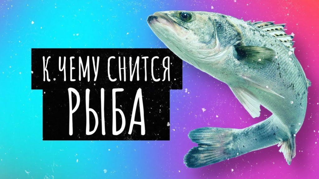К Чему Снится Рыба: значение сна и толкования