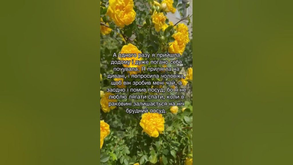 Колишній Чоловік Квіткової: Життя, Кар'єра та Особисті Перипетії