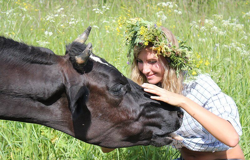 До Чого Сниться Корова Жінці: Значення Сну в Різних Тлумаченнях