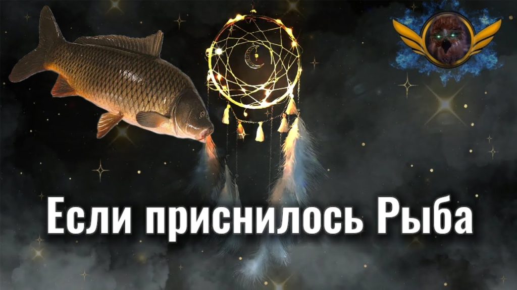 К Чему Снится Рыба: значение сна и толкования