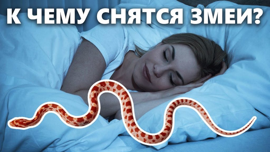 К Чему Снится Змея: подробный анализ значения и символики