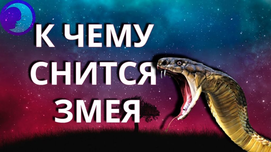 К Чему Снится Змея: подробный анализ значения и символики