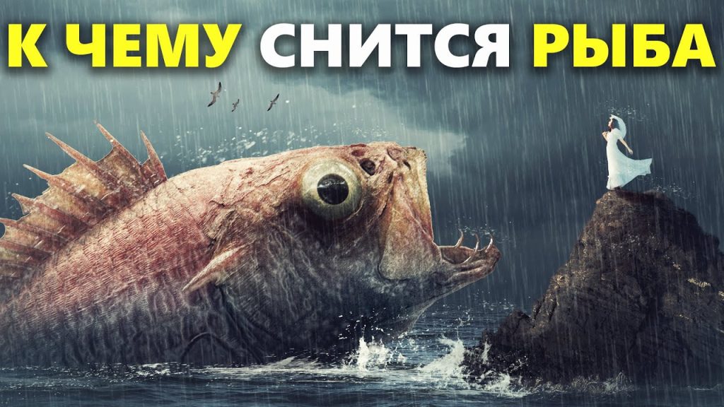 К Чему Снится Рыба: значение сна и толкования