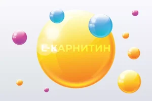 Карнитин и энергетический обмен – почему организму нужна поддержка