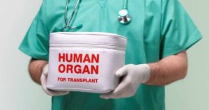 Понад 300 пересадок органів за шість місяців: як розвивається трансплантація в Україні